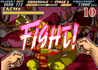 image de The First Funky Fighter